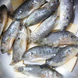 Cách làm cá rô kho mía