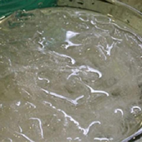 Cách làm cà tím nhồi tôm thịt