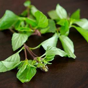 Cách làm cà tím nướng phô mai thịt xông khói