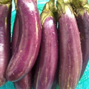 Cách làm cà tím nướng thịt bằm mỡ hành