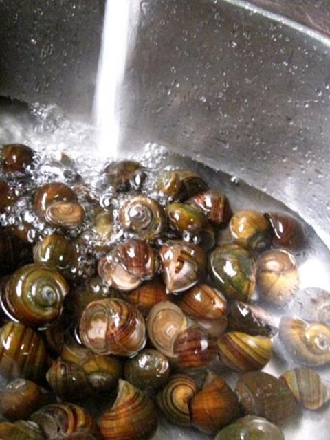 Cá trắm kho mía sấu