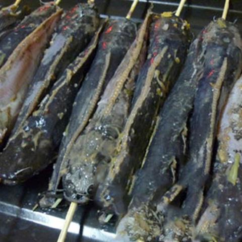 Cách làm cá trê nướng riềng mẻ