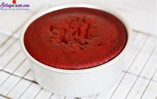 Cách làm bánh bông lan màu đỏ nhung đặc biệt