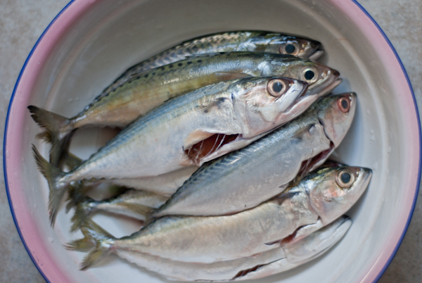 Cách làm cá nục nướng