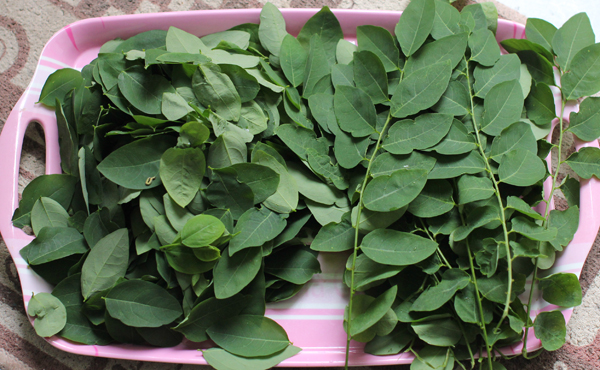 Cách làm canh rau ngót nấu trứng lạ miệng mà ngon