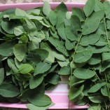 Cách làm canh rau ngót nấu trứng lạ miệng mà ngon