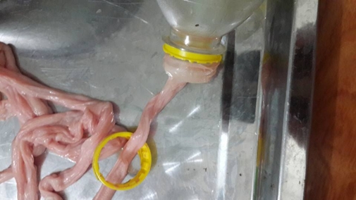 Cách làm giò bì hoa bắt mắt ngon miệng cực đưa cơm