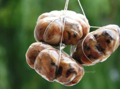 Cách làm giò thủ, nem bì