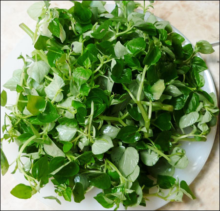 Cách làm gỏi rau càng cua với thịt bò bổ dưỡng cho bà bầu