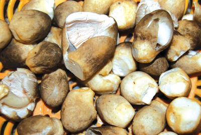 Cách làm há cảo chay vào ngày rằm tháng tư