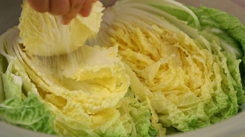 cách làm kim chi hàn quốc ngon đúng điệu [có video]