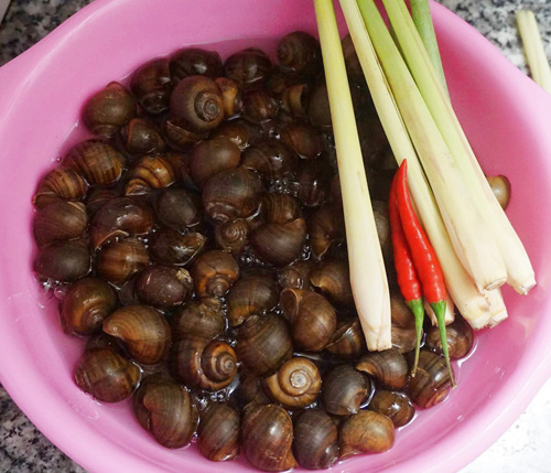 Cách làm kim chi không cần bột ớt mà vẫn ngon đúng điệu