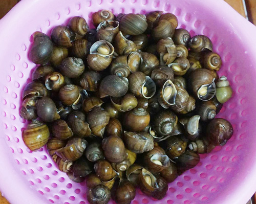 Cách làm kim chi không cần bột ớt mà vẫn ngon đúng điệu