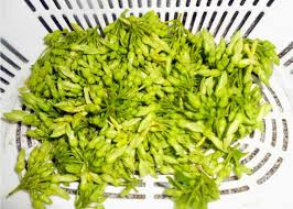 Cách làm nấm bào ngư xào bông thiên lí thanh mát, bổ dưỡng