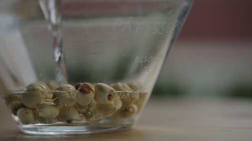 Cách làm ốc mít xào me thơm ngon khó cưỡng