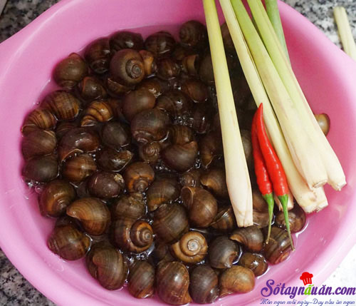 Cách làm ốc xào sả ớt cực thơm và cực giòn