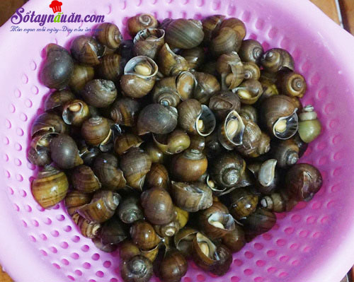 Cách làm ốc xào sả ớt cực thơm và cực giòn