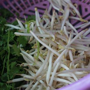 Cách làm phở gà xé cực ngon