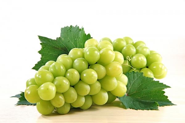 Cách làm rượu nho nguyên chất giảm cân hiệu quả