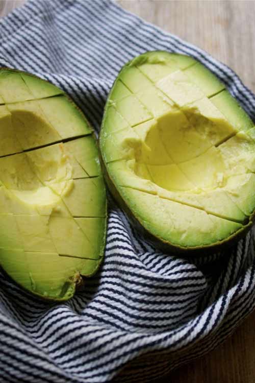 Cách làm sinh tố bơ nước cốt dừa