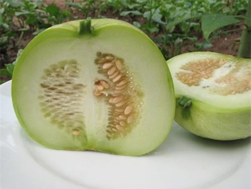 Cách làm sinh tố dưa gang ngon