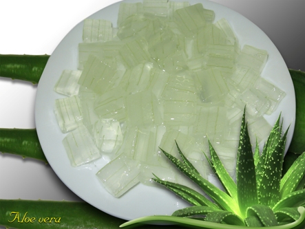 Cách làm sinh tố dứa nha đam