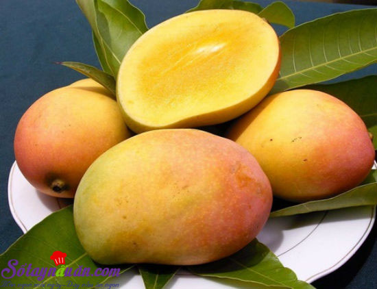 Cách làm sinh tố xoài sữa tươi bổ dưỡng tại nhà