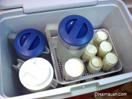 Cách làm sữa chua ngon từ sữa tươi