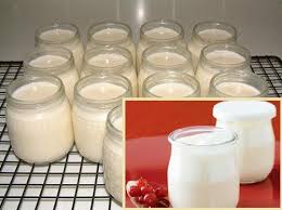 Cách làm sữa chua nha đam mát dịu mùa hè