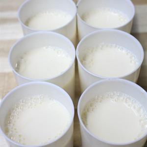 Cách làm sữa chua tại nhà