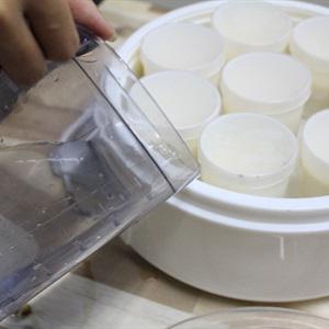 Cách làm sữa chua tại nhà