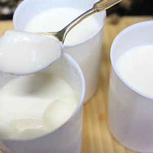Cách làm sữa chua tại nhà