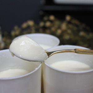 Cách làm sữa chua tại nhà