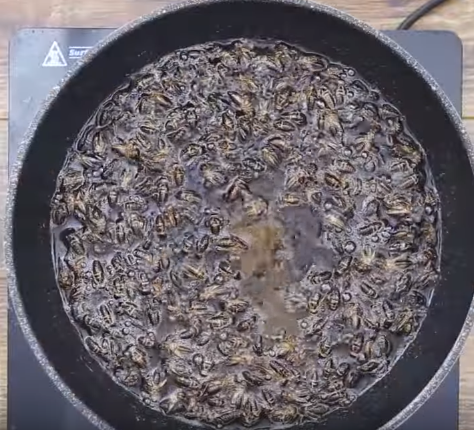 Cách làm sữa chua túi tại nhà vừa ngon dẻo, độ chua vừa đủ lại không hề bị đông đá