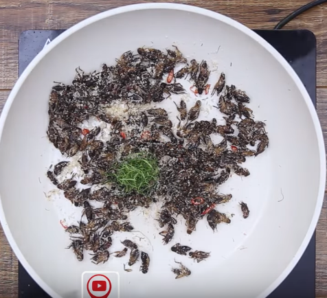 Cách làm sữa chua túi tại nhà vừa ngon dẻo, độ chua vừa đủ lại không hề bị đông đá