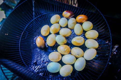 Cách làm thịt ba chỉ cuộn ngũ vị hương ngon mềm đúng điệu