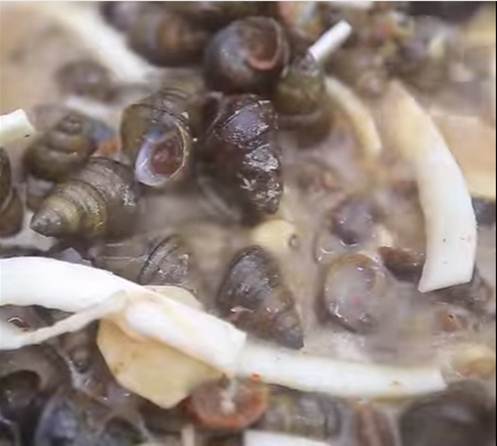 Cách làm trà sữa thạch matcha thơm ngon chuẩn vị như ngoài hàng