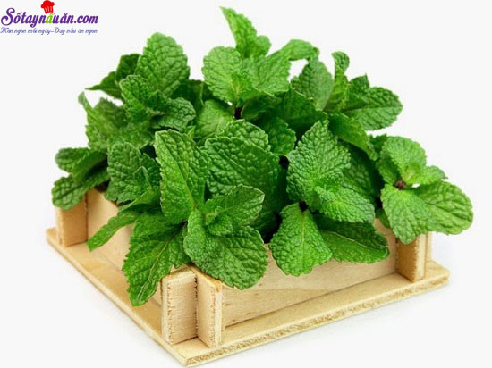 Cách làm trà vải bạc hà mát lạnh xua tan nóng bức