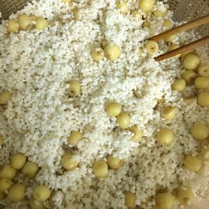 Cách làm xôi dừa hạt sen cực ngon