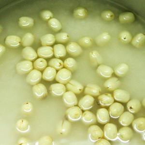 Cách làm xôi dừa hạt sen cực ngon