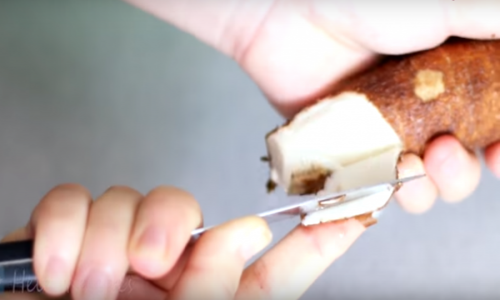 Cách làm xôi sầu riêng thơm nức mũi chỉ bằng nồi cơm điện