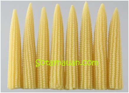 Cách nấu canh rau củ thịt nạc – món ăn ngọt mát cho ngày hè