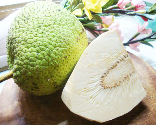 Cách nấu canh sake bổ dưỡng