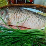 Cách nấu cháo cá chép bổ dưỡng thơm ngon hết ý