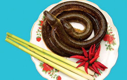 Cách nấu cháo lươn với khoai môn