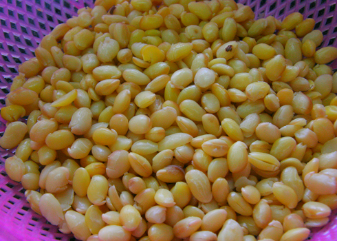 Cách nấu chè đậu váng đặc ngọt lịm đường