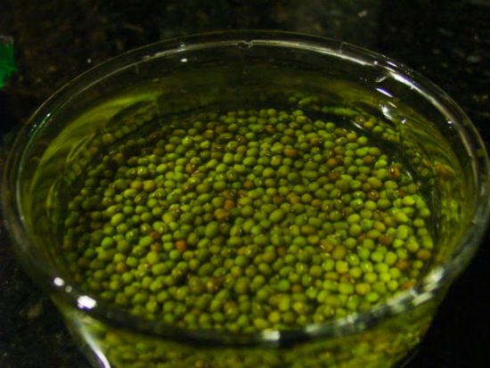 Cách nấu chè đậu xanh táo đỏ