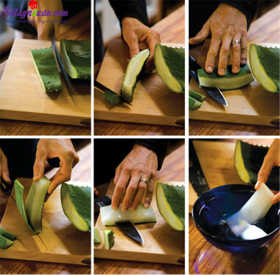 Cách nấu chè nha đam vừa mát vừa giàu dinh dưỡng