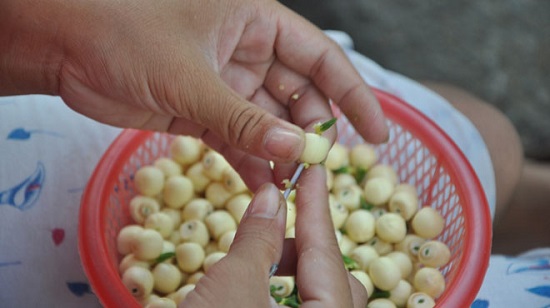 Cách nấu chè táo đỏ hạt sen