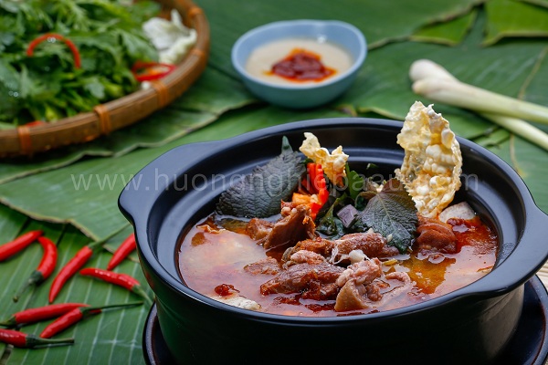 Cách nấu lẩu vịt lá tía tô ngon bổ dưỡng